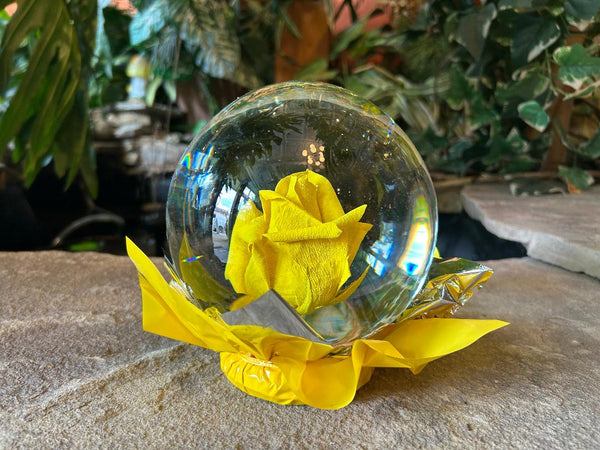 Enchanting Real Rose Globe