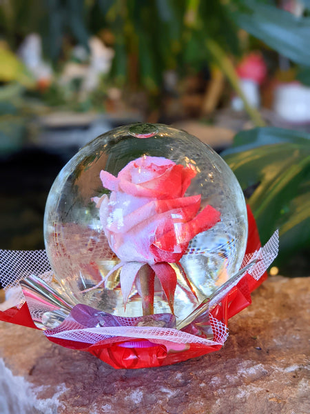 Enchanting Real Rose Globe