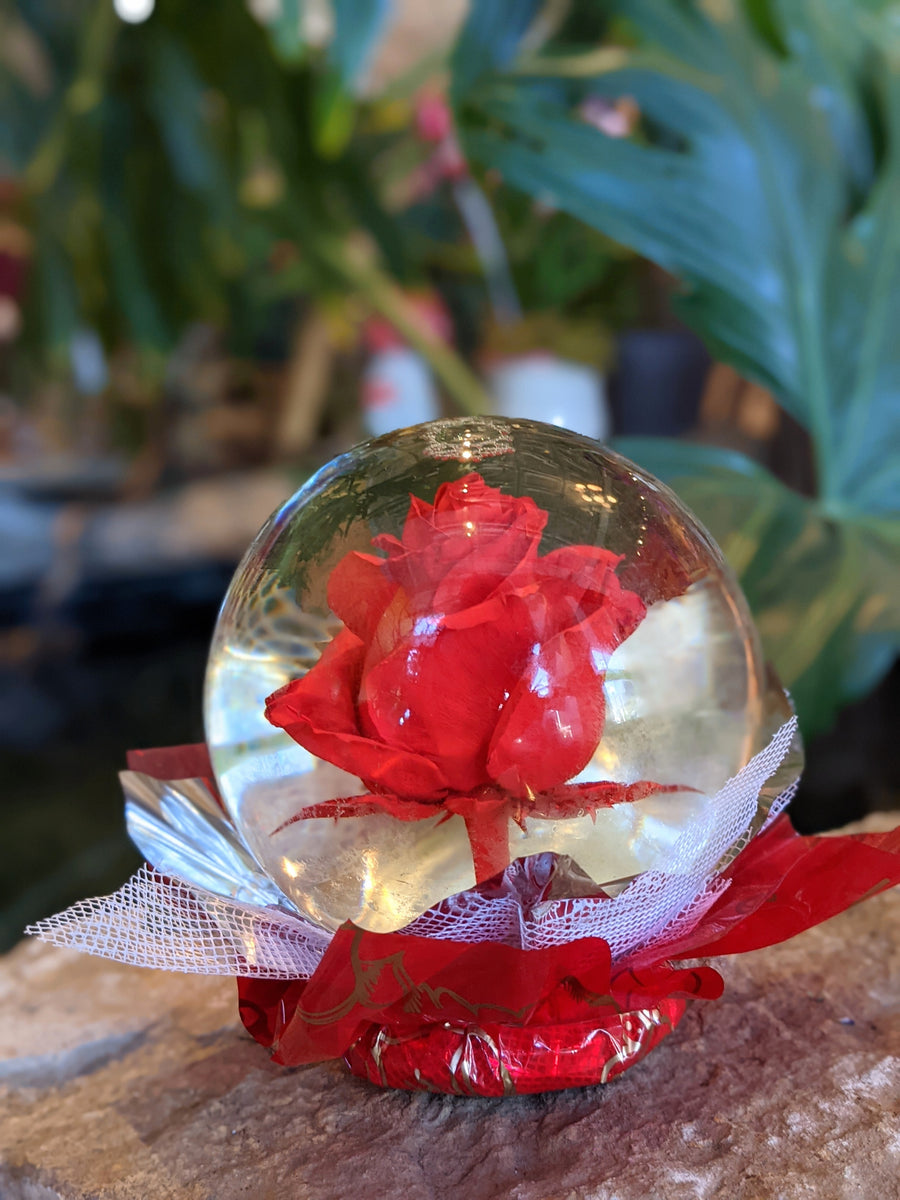 Enchanting Real Rose Globe Nicola Flora