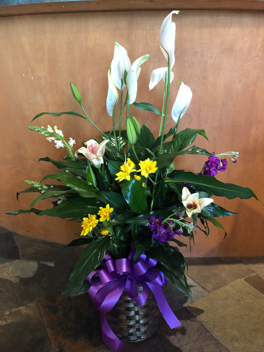 peace lily in hanging basket Peace Lily with Basket and Flowers – Nicola Flora