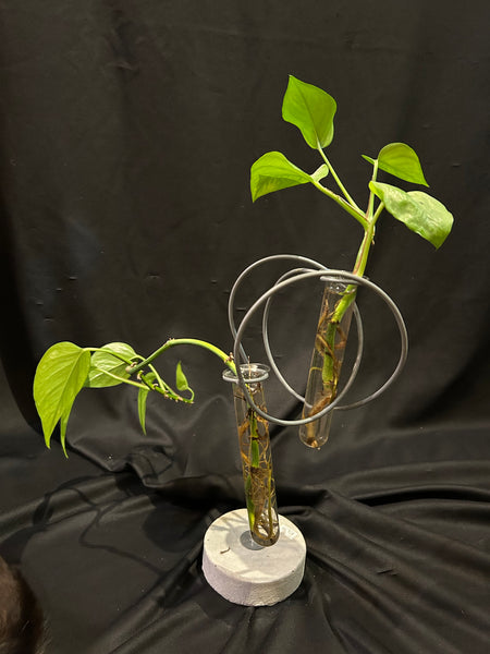 Loop de Loo Vase
