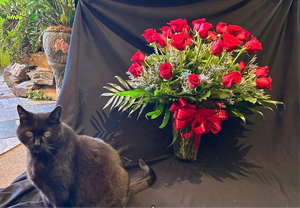 Contemporary Red Roses-Three Dozen