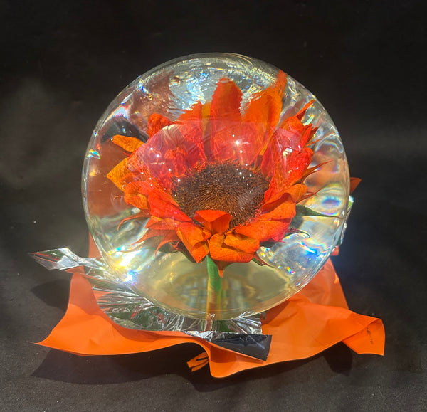 Sunflower in a Globe