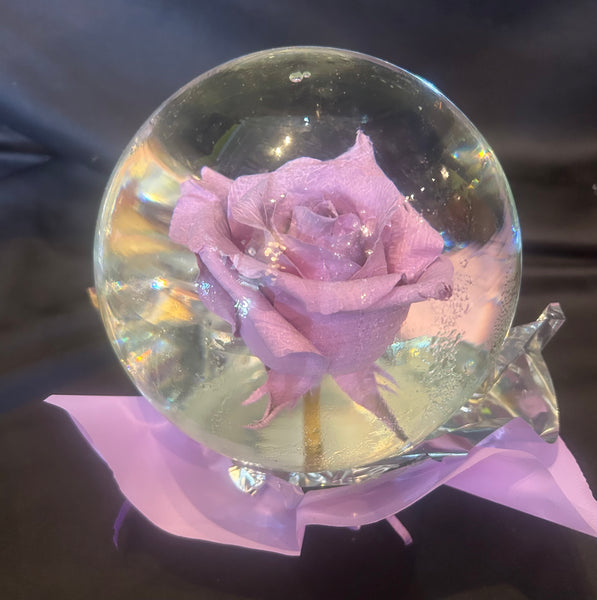Enchanting Real Rose Globe