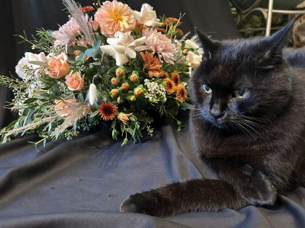 Centerpiece In A Cinch
