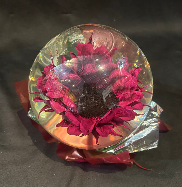 Sunflower in a Globe