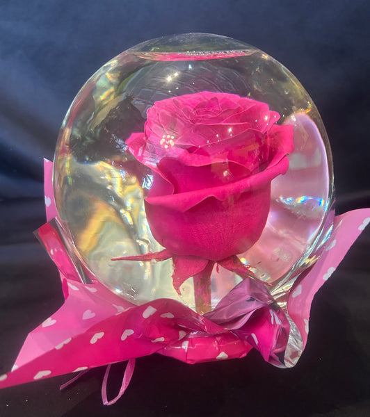 Enchanting Real Rose Globe