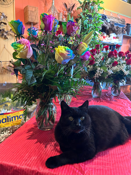 Rainbow Roses in Vase