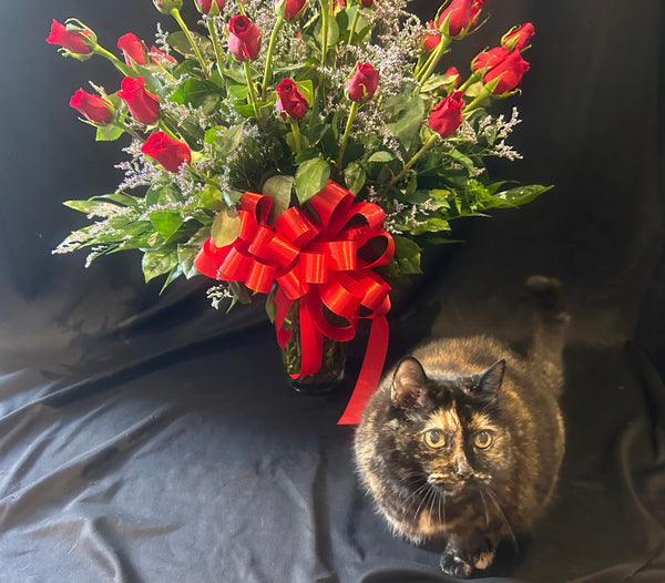 Contemporary Red Roses-Three Dozen