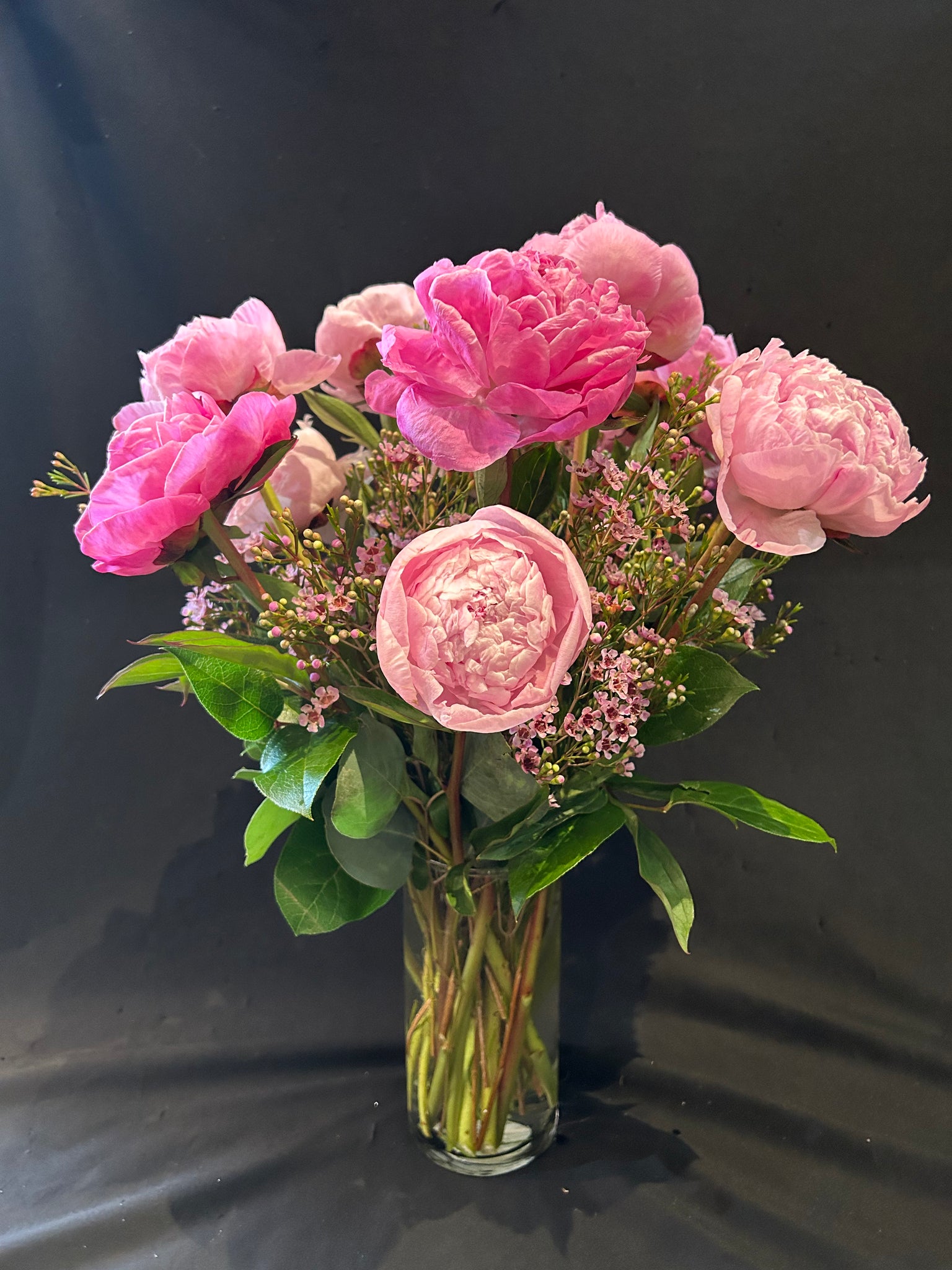 Pretty as a Peony