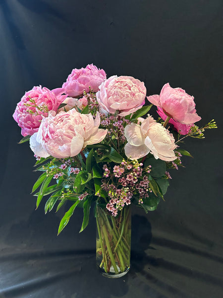 Pretty as a Peony