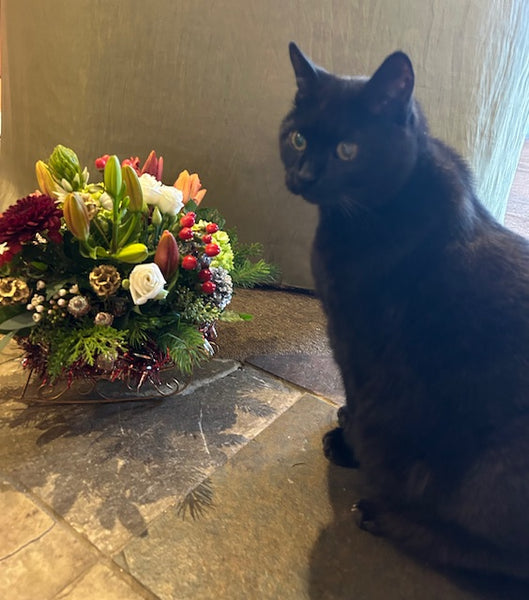 * Holiday Arrangement (Designer's Choice)