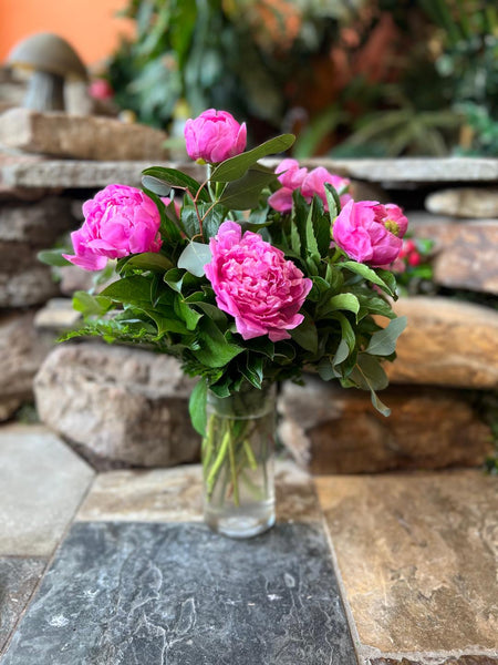 Pretty as a Peony