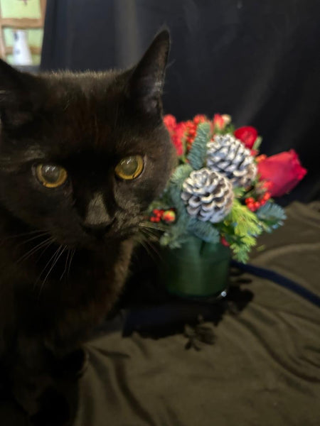 * Holiday Arrangement (Designer's Choice)