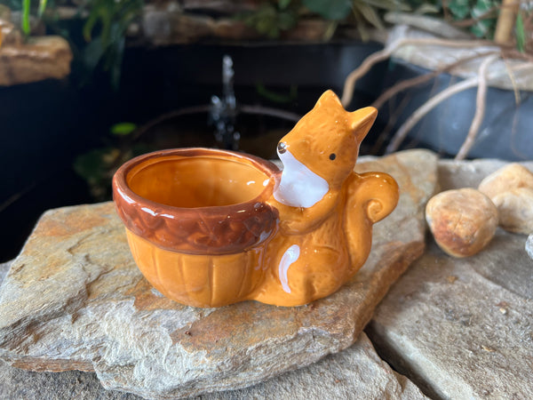 Animal Planter Floral Arrangement (16 Styles)