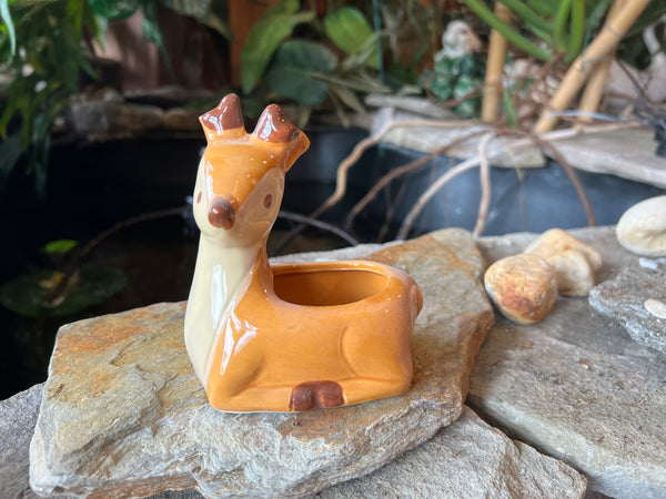Animal Planter Floral Arrangement (16 Styles)
