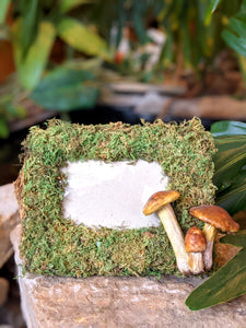 Rectangular Moss Fairy Picture Frame with Toadstools