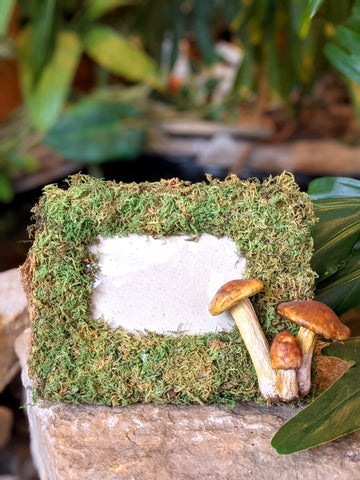 Rectangular Moss Fairy Picture Frame with Toadstools