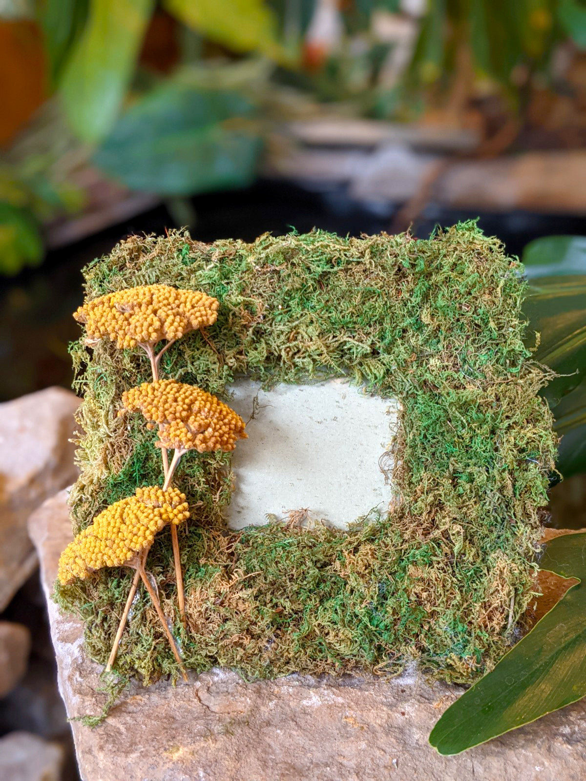 Moss Fairy Picture Frame with Dried Gold Flowers