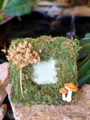 Moss Fairy Picture Frame with Toadstools and Dried Flowers