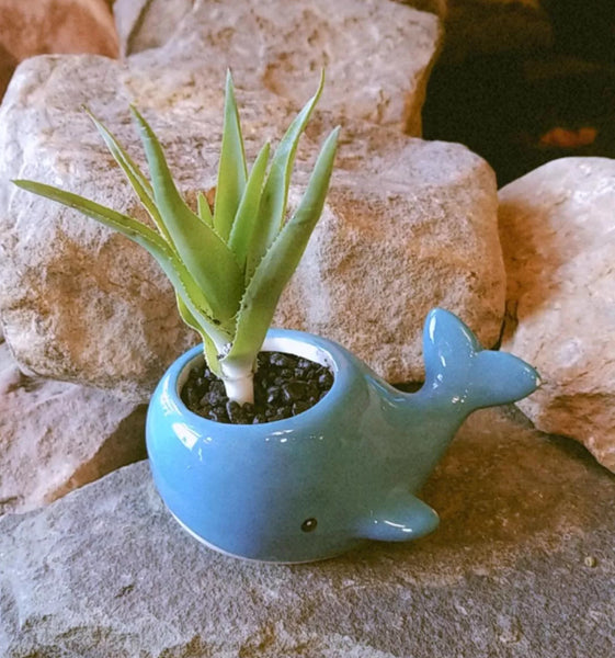 Animal Planter Floral Arrangement (16 Styles)