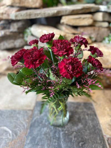 A Carnation Celebration