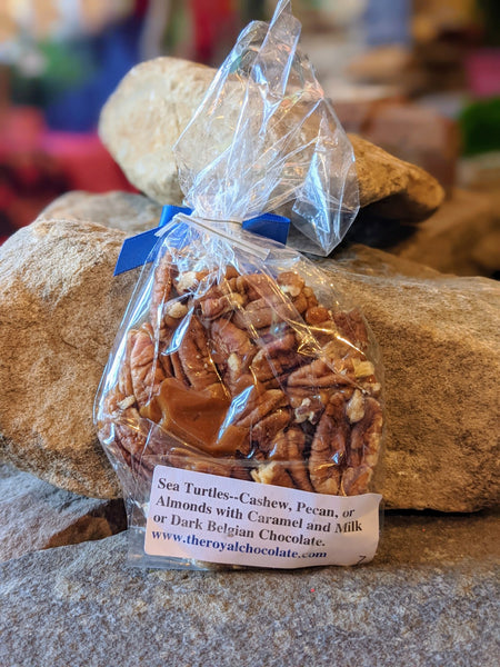 The Royal Chocolate Sea Turtle