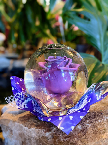 Enchanting Real Rose Globe