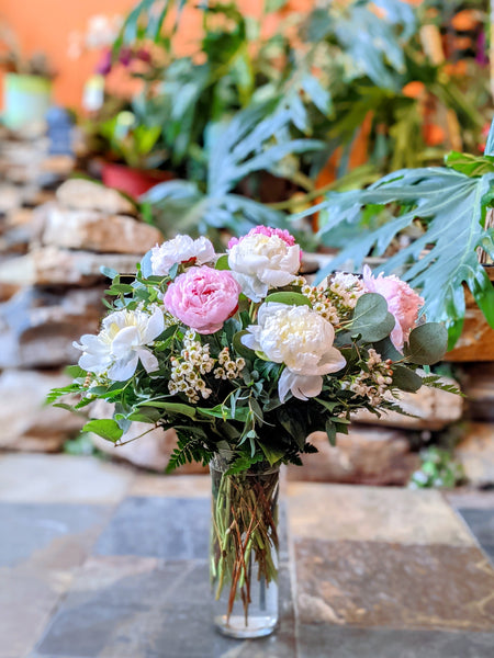 Pretty as a Peony