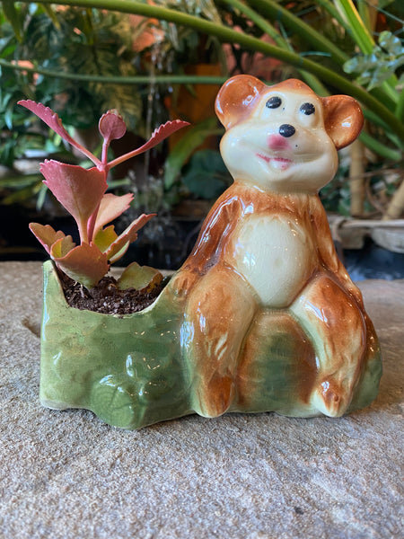 Vintage Planters