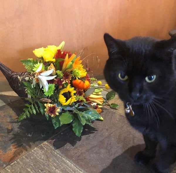 Autumnal Cornucopia