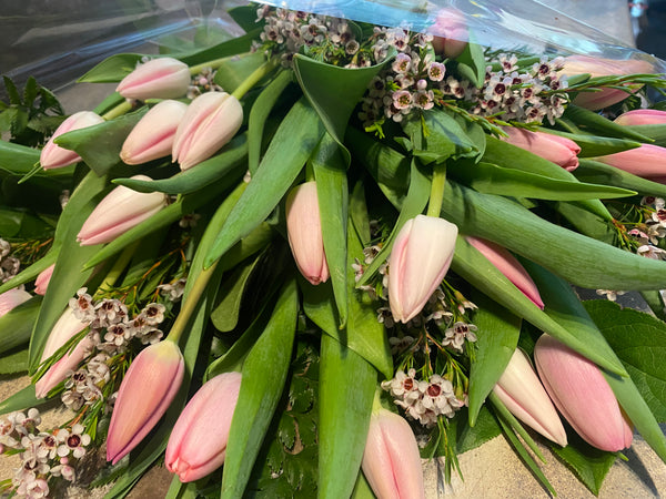 Designer's Choice - Mixed Bouquet Wrapped in Cellophane
