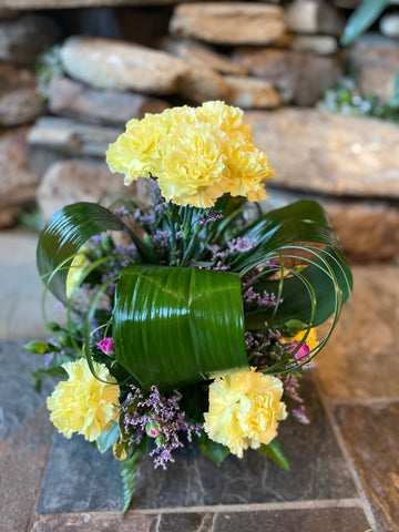 Clover of Carnations