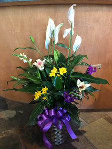 Peace Lily with Basket and Flowers