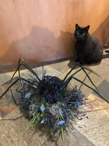 Too Spooky Spiderella